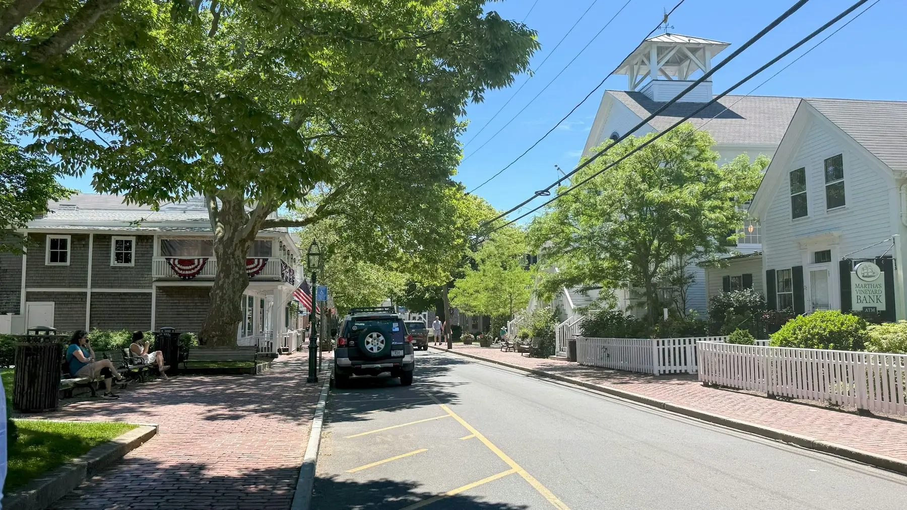 A quiet village street shaded by mature trees